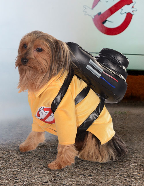 Ghostbuster 2024 costume dog