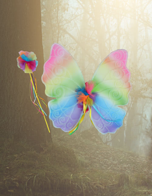 Rainbow Wings & Wand Rainbow Wings & Wand