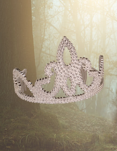 Princess Tiara Princess Tiara