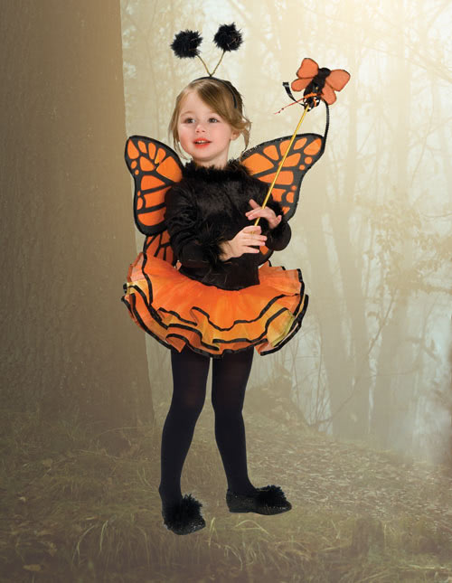 Butterfly Costume 