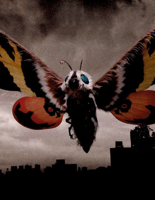 Mothra Mothra