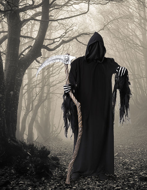 Reaper costume on sale