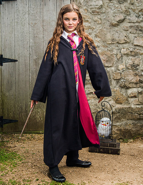 Hermione Costume