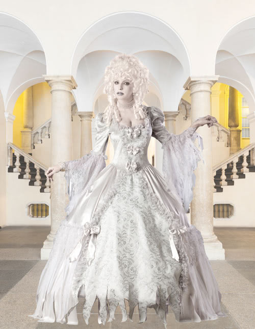 Masquerade Ball Costume Masquerade Ball Costume