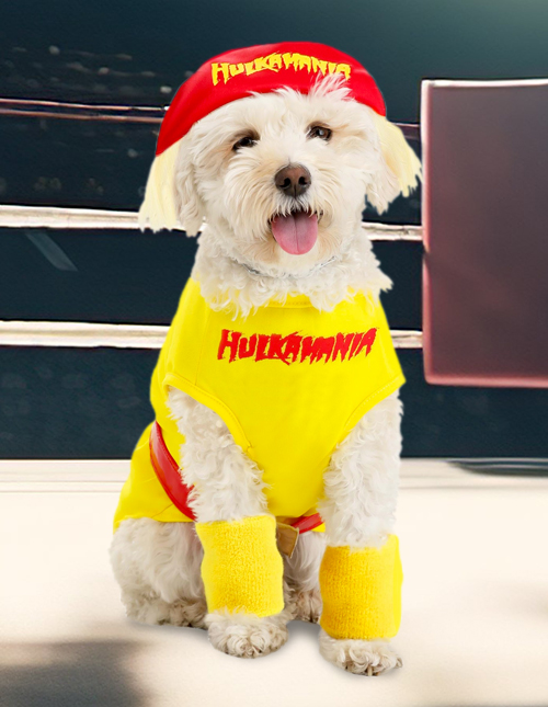 Hulk Hogan Dog Costumes
