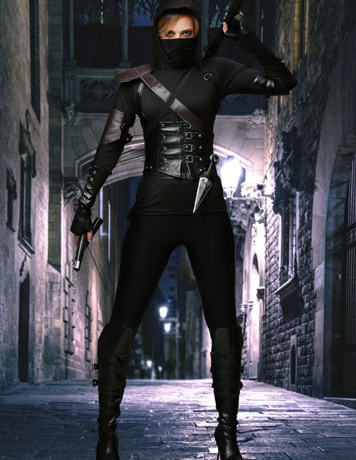 Women’s Assassin Costume Women’s Assassin Costume