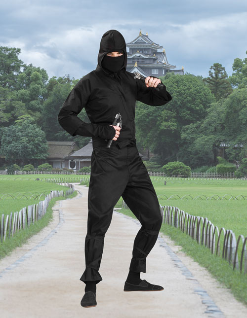 Adult Mens Deluxe Ninja Master Fancy Dress Costume