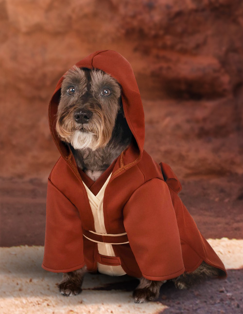 Jedi Dog Costumes