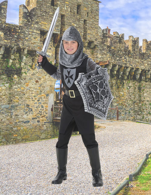 Knight in Shining Armor Adult Costume