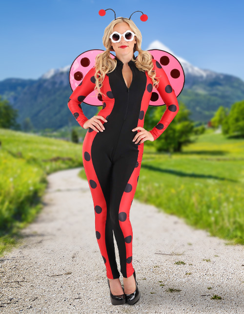 Sexy Ladybug Costume