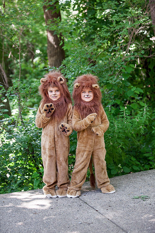 Take to the Jungle Take to the Jungle