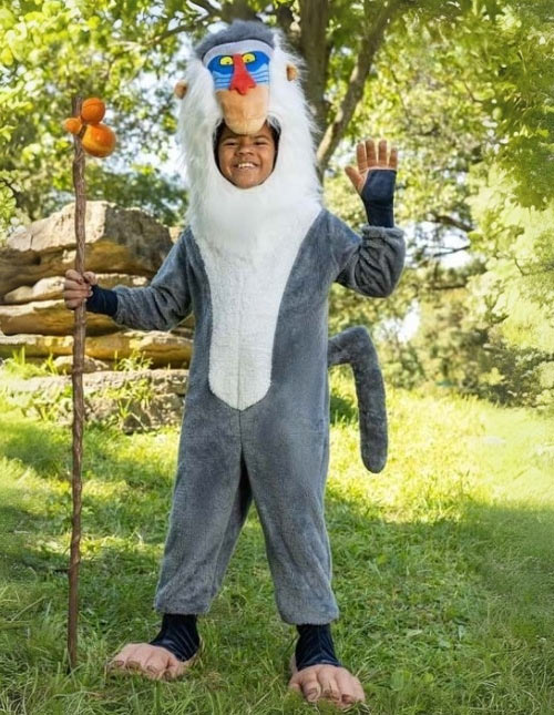 Rafiki Costume