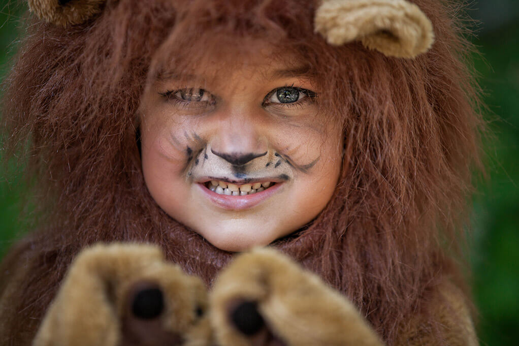 Lion Costumes For S Kids Costume Ideas - Diy Lion Costume For Teenage Girl