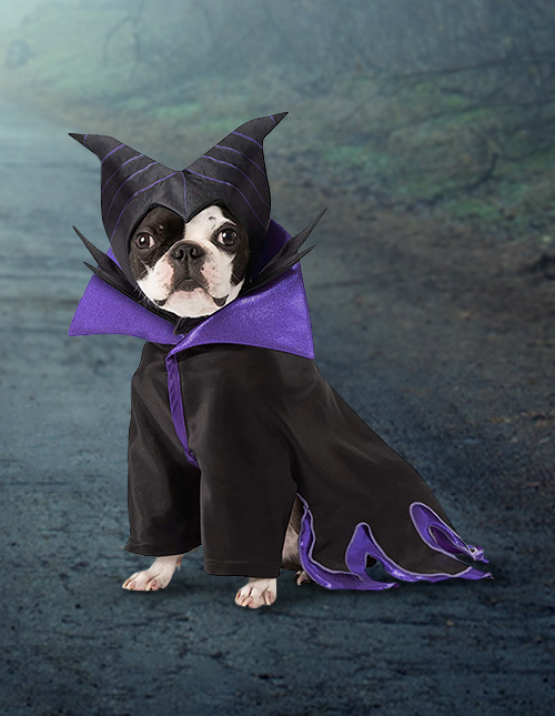 Dog Maleficent Costume