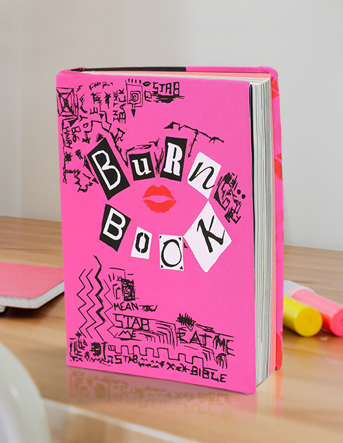 Bright Pink Mean Girls Burn Book Socks