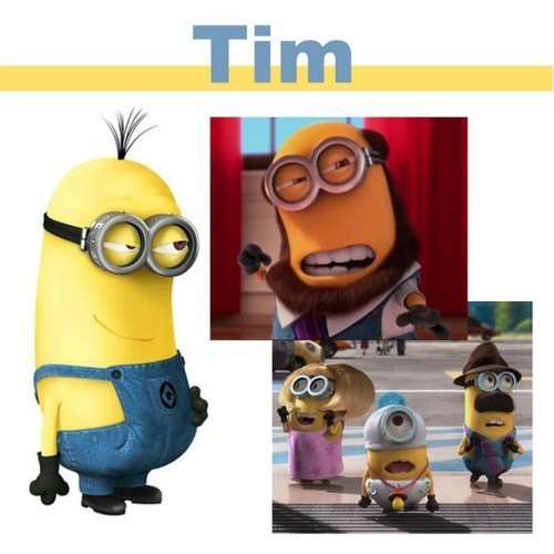 Tim Tim