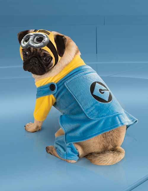 Minion dog costume hotsell