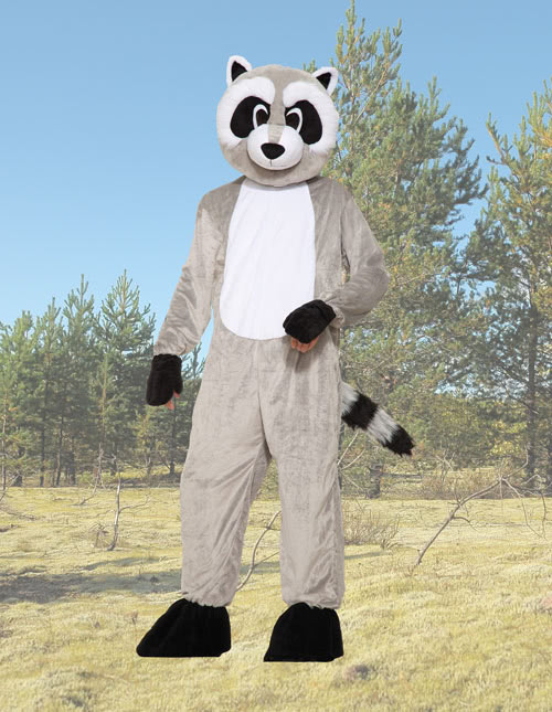 Raccoon Costume Raccoon Costume