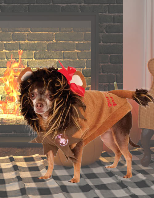 Cat Lion Costume Cat Lion Costume
