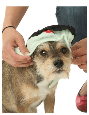 Ears in Head Piece Ears in Head Piece