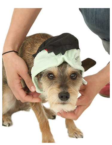 Fasten Head Piece Fasten Head Piece