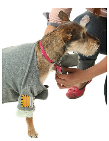 Other Paw Then Fasten Other Paw Then Fasten