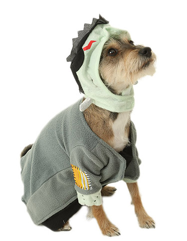 Pet Halloween Costumes | Dog and Cat Costumes