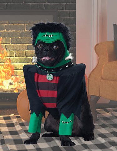 Monster Dog Costume Monster Dog Costume