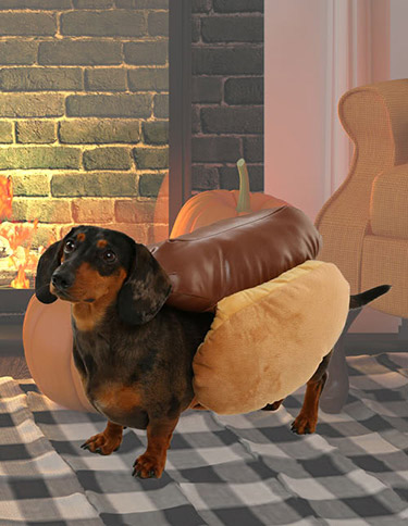 Hot Dog Costume for Dogs Hot Dog Costume for Dogs