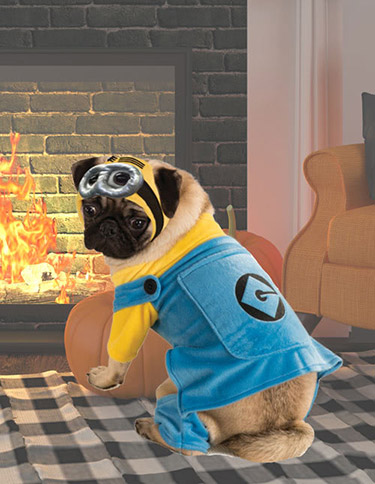 Minion Dog Costume Minion Dog Costume