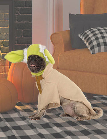 Yoda Dog Costume Yoda Dog Costume
