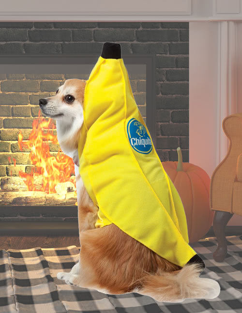 Cat Banana Costume