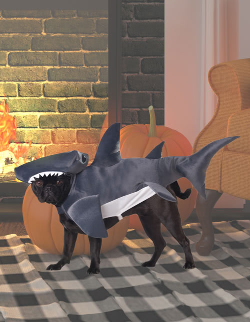 Shark Puppy Costume
