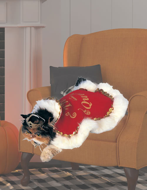 Cat Robe Cat Robe