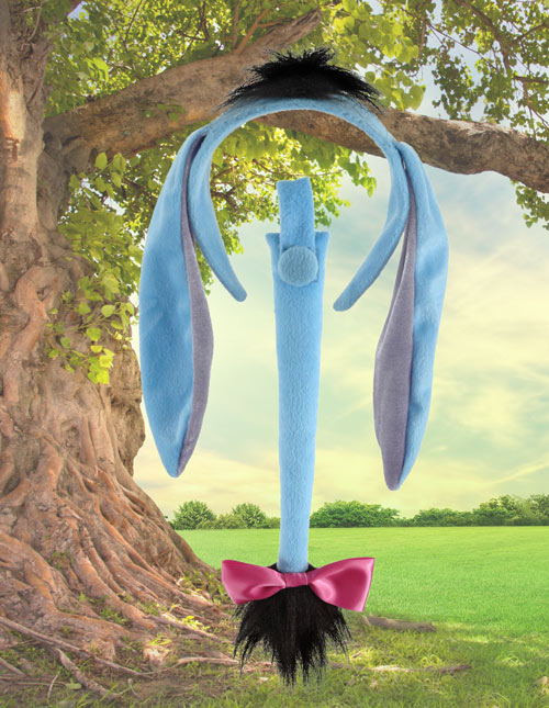 Eeyore winnie outlet the pooh costume