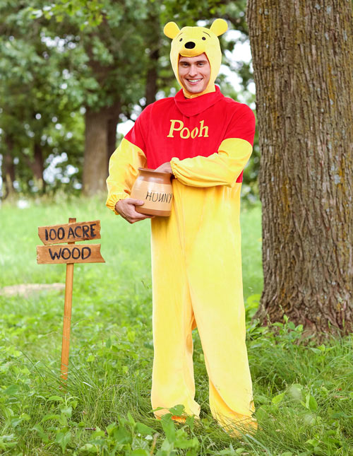 Winnie the pooh outlet and piglet costume