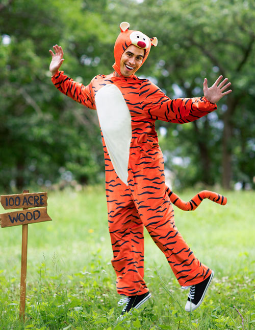 Winnie the pooh 2024 and tigger costumes