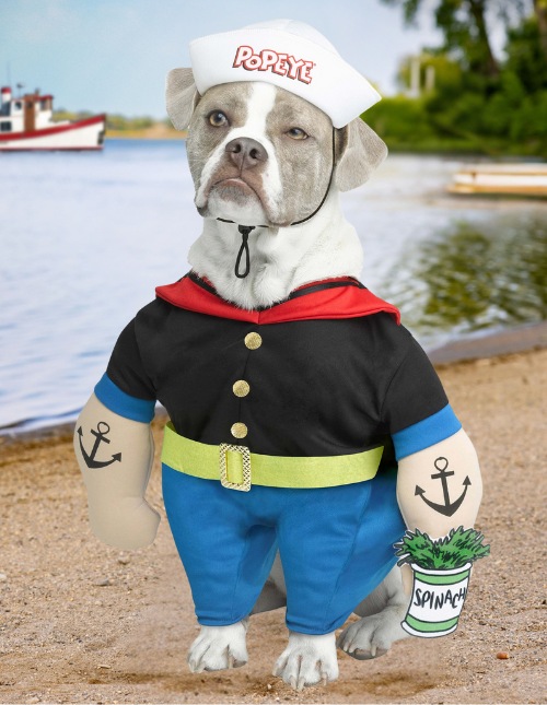 Popeye Costume for Dogs Popeye Costume for Dogs