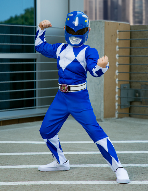 Blue Power Ranger Costumes Blue Power Ranger Costumes