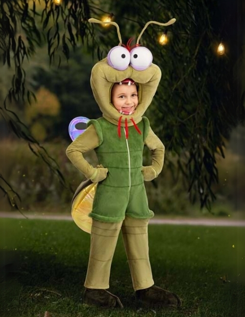 Ray Princess and the Frog Costume Ray Princess and the Frog Costume