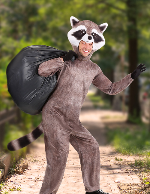 Raccoon Suit