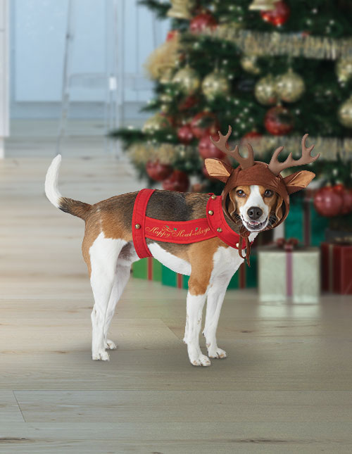 Dog Reindeer Costume