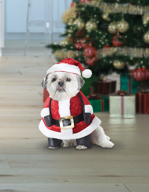 Dog Santa Costume