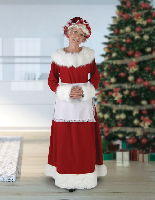 Plus size mrs clearance claus costume for sale