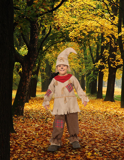 Scarecrow Costume for Boys