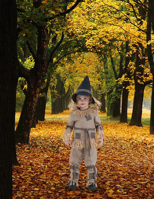 Toddler Silly Scarecrow Costume