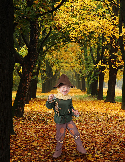 Wizard of Oz Scarecrow Costume for Toddler