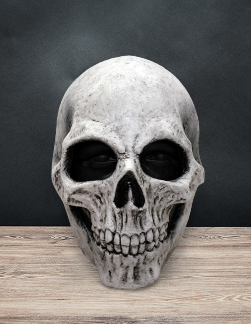 Scary Skull Mask
