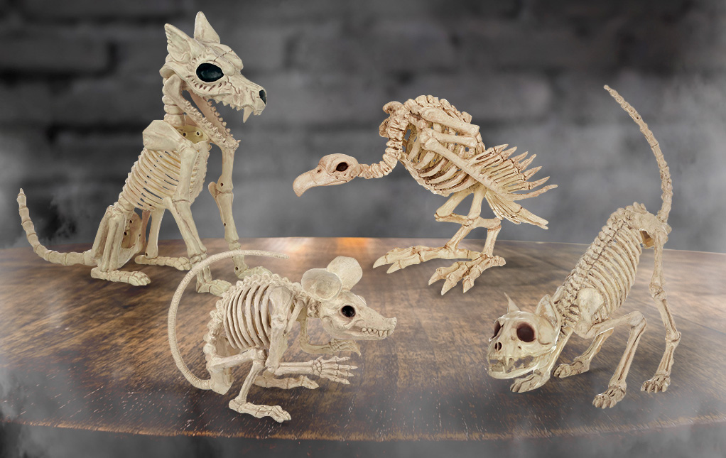 4pcs Plastic Skull Miniature Model Animals Skull Decor Doll House Wall  Ornament | Fruugo AE
