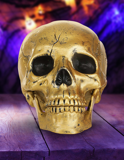 Buy 3 Save $5 Miniature Fairy Garden Day-of-the-Dead Buzzard Skeleton 